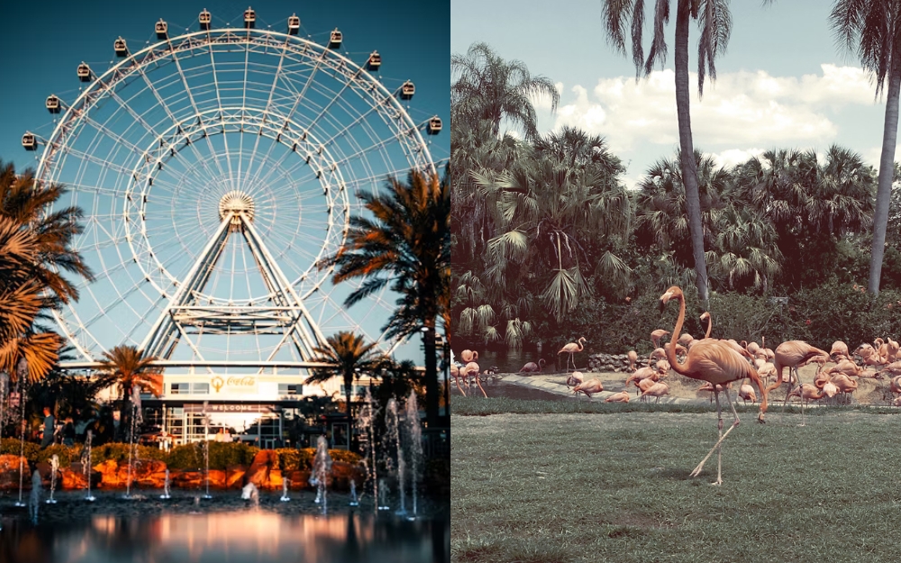 Top 10 Family-Friendly Destinations in the United States Orlando  Florida